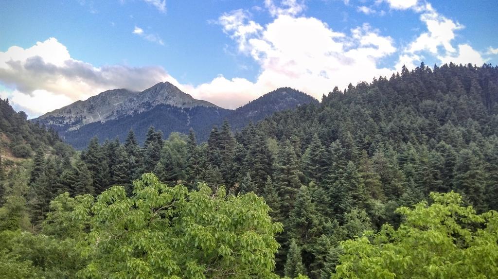 Valentini Guesthouse Karpeníszi Kültér fotó